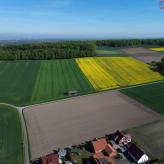 DJI_0181