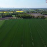 DJI_0223