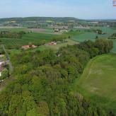 DJI_0227
